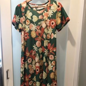 Medium lularoe Carly dress